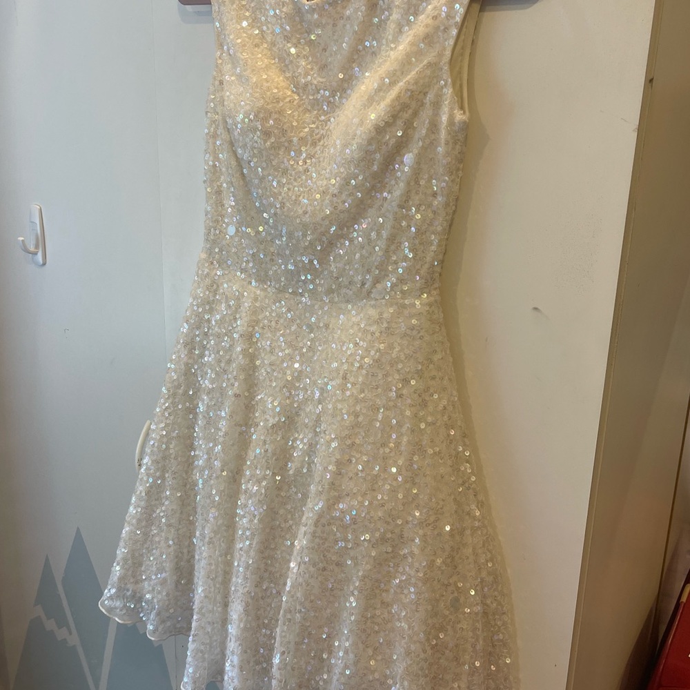 Ashley Lauren size 2 dress